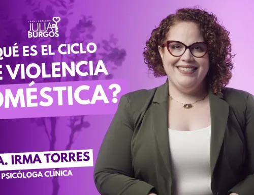 ¿Qué es el ciclo de la violencia doméstica?
